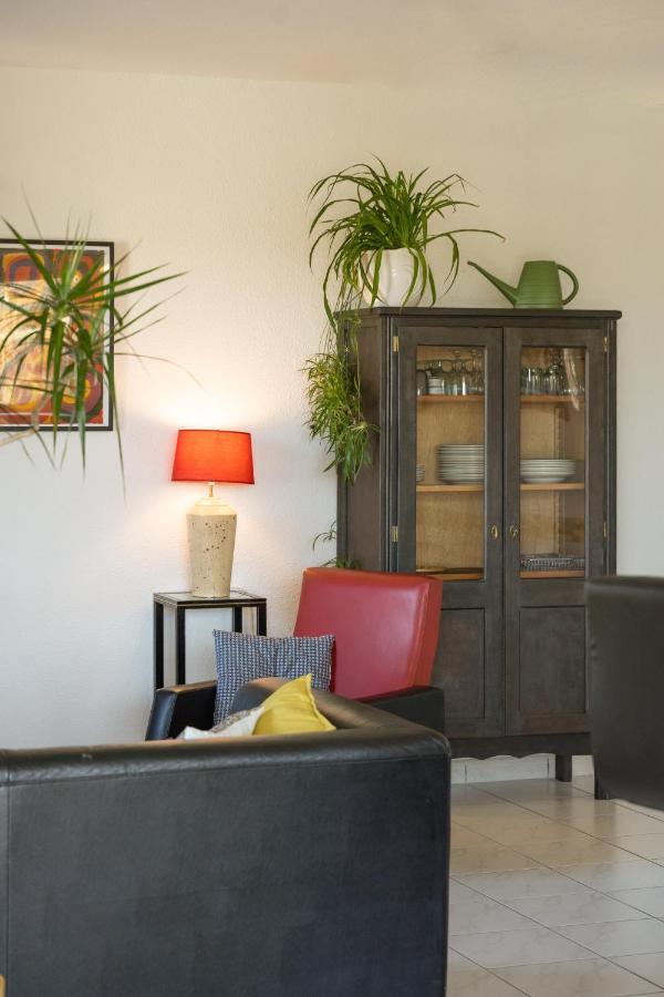 Le Clos Bellevue Appartement T3 Parking + Piscine Rodez Dış mekan fotoğraf